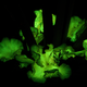 Illustration for article titled Why Do Some Mushrooms Glow In The Dark?